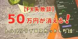 【FX失敗談】50万円が消える！トルコリラでロスカットした話